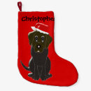 Recherche de labradors chaussette de noël Chiens