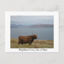 Recherche de highlands cartes postales Écosse