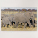Recherche de éléphant africain puzzles Animaux