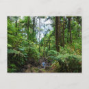 Recherche de flore tropicale de forêt tropicale cartes postales Vert