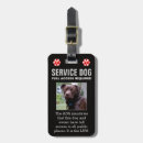 Recherche de chien bagages étiquettes Dogs