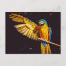 Recherche de perroquets cartes postales Jaune