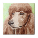 Recherche de chien de caniche carreaux Aquarelle