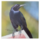 Recherche de raven carreaux Noir