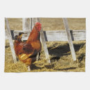 Recherche de coqs cuisine linges Animal