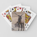 Recherche de taureau jeux de cartes élans