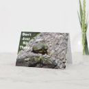 Recherche de turtle anniversaire cartes Collègue