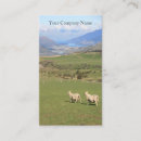 Recherche de moutons photographie Agriculteur