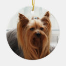 Recherche de teacup ornements Chiot
