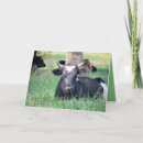Recherche de élevage vœux cartes Vache