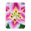 Recherche de grand format magnets Botanique