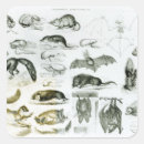 Recherche de écolière autocollants Anglais