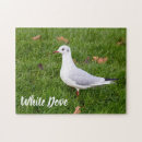 Recherche de pigeon puzzles Animal