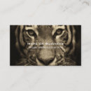 Recherche de tigre cartes visite Chat sauvage