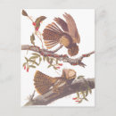 Recherche de chucks cartes postales Pour tous