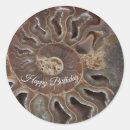 Recherche de fossil autocollants Ammonite