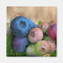 Recherche de bleuet magnets Fruit