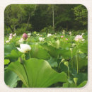 Recherche de fleur lotus de dessous de verres Floral