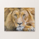 Recherche de grands chats puzzles Sauvage