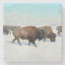 Recherche de bison dessous de verres Buffle