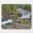 Recherche de montagne rocheuse tapis souris Arbre