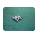 Recherche de catamaran magnets Côte