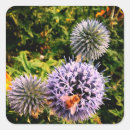 Recherche de guêpes autocollants Nature