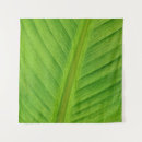 Recherche de feuille de banane posters Plante