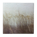 Recherche de dunes carreaux Côte