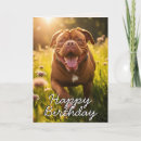 Recherche de dogue de bordeaux cartes postales Amoureux des chiens