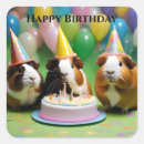 Recherche de anniversaire de cobaye autocollants Animal