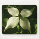 Recherche de illuminations tapis souris Arbre