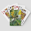 Recherche de araignées jeux de cartes Insecte