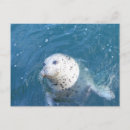 Recherche de colombe mignonne cartes postales Colombie britannique