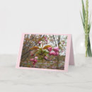 Recherche de voisins vœux cartes Rose
