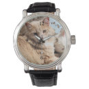 Recherche de chat montres Félin