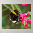 Recherche de gaffez art Bourdon