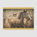 Recherche de chevaux quarts Pour tous