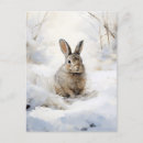 Recherche de rabbit cartes postales Vintage