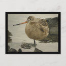 Recherche de marbré cartes postales Nature