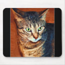 Recherche de chat tigré tapis souris Zoo