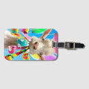 Recherche de pétards accessoires Presse avanti