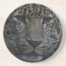 Recherche de leopard dessous de verres Gros chats