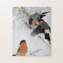 Recherche de oiseau de neige puzzles Animal