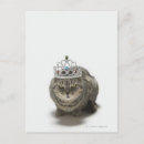 Recherche de dressing cartes postales Animaux