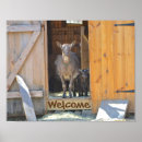 Recherche de bébés de ferme posters Pays