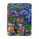 Recherche de pinceau indien maison deco Printemps