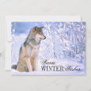 Recherche de loup photographie Loup de bois