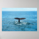 Recherche de whale posters Sea