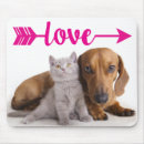 Recherche de chatons gris tapis souris Chaton mignon